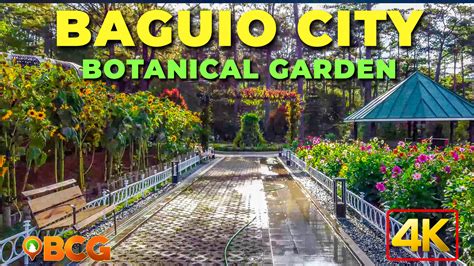 baguio botanical garden drawing
